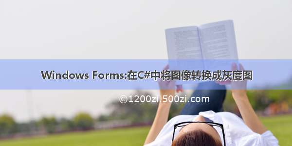 Windows Forms:在C#中将图像转换成灰度图