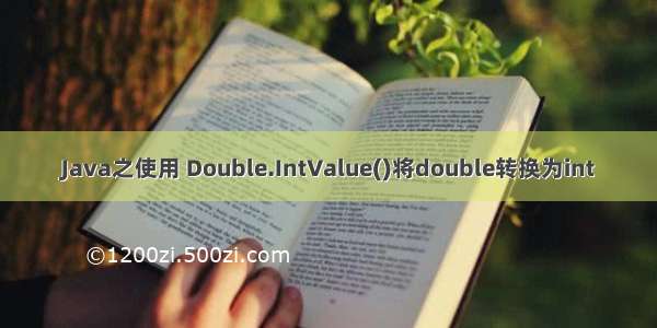 Java之使用 Double.IntValue()将double转换为int