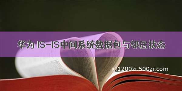 华为 IS-IS中间系统数据包与邻居状态