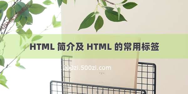 HTML 简介及 HTML 的常用标签