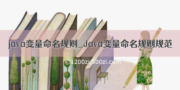 java变量命名规则_Java变量命名规则规范