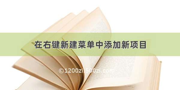 在右键新建菜单中添加新项目