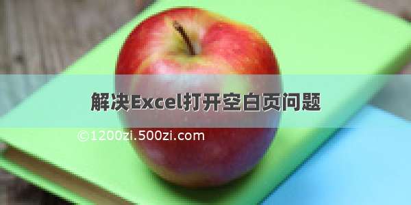 解决Excel打开空白页问题