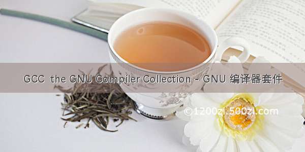 GCC  the GNU Compiler Collection - GNU 编译器套件