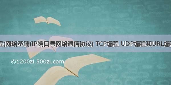 Java网络编程(网络基础(IP端口号网络通信协议) TCP编程 UDP编程和URL编程原理以及常