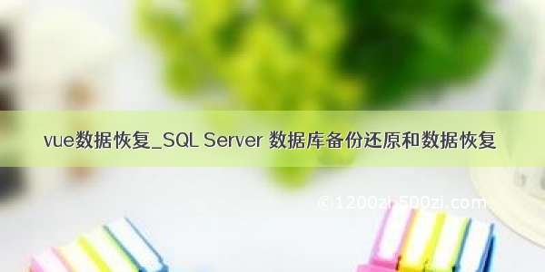 vue数据恢复_SQL Server 数据库备份还原和数据恢复