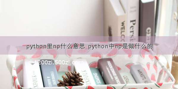 python里np什么意思_python中np是做什么的