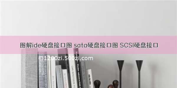 图解ide硬盘接口图 sata硬盘接口图 SCSI硬盘接口