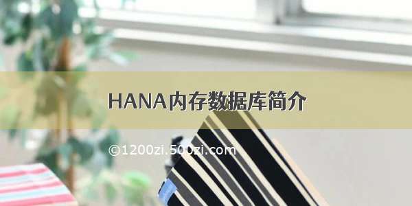 HANA内存数据库简介