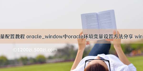 oracle环境变量配置教程 oracle_window中oracle环境变量设置方法分享 window serve