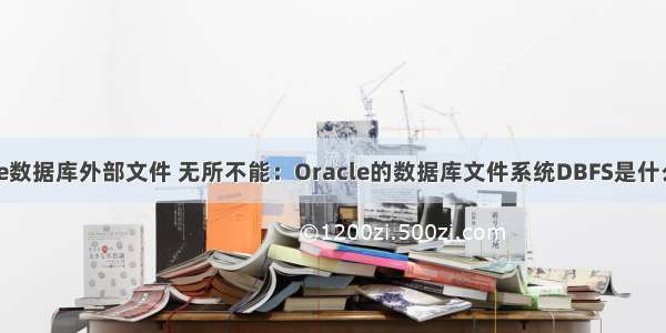 什么是oracle数据库外部文件 无所不能：Oracle的数据库文件系统DBFS是什么鬼？-dbf是