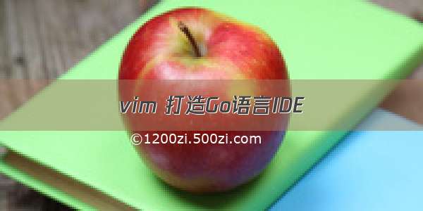 vim 打造Go语言IDE