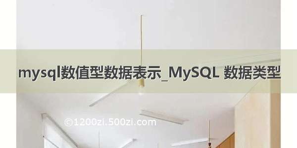 mysql数值型数据表示_MySQL 数据类型