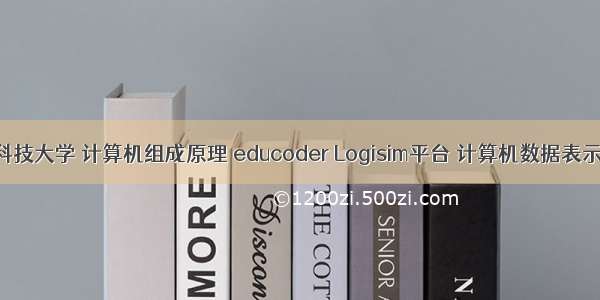 华中科技大学 计算机组成原理 educoder Logisim平台 计算机数据表示实验