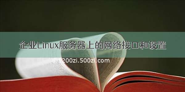 企业Linux服务器上的网络接口和设置