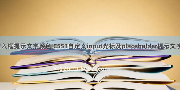 css输入框提示文字颜色 CSS3自定义input光标及placeholder提示文字颜色