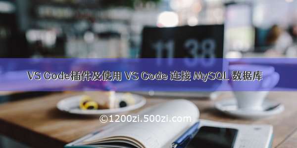 VS Code插件及使用 VS Code 连接 MySQL 数据库