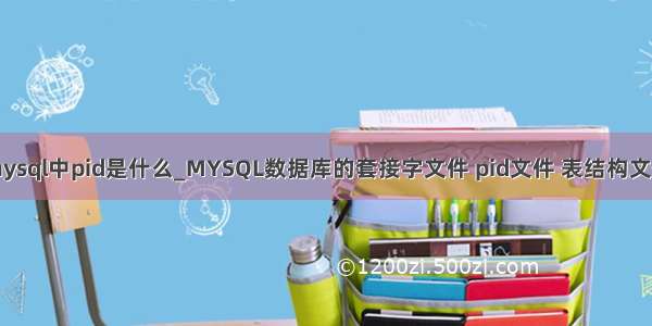 mysql中pid是什么_MYSQL数据库的套接字文件 pid文件 表结构文件