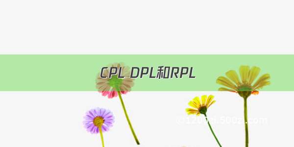 CPL DPL和RPL