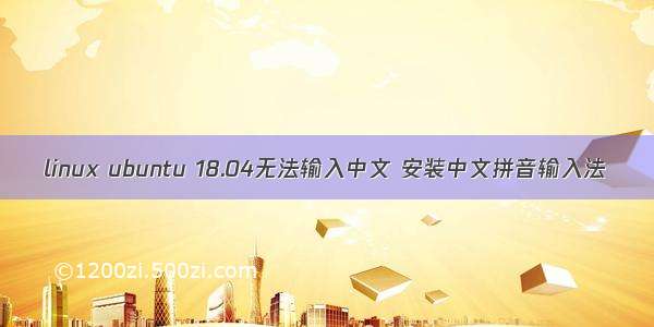 linux ubuntu 18.04无法输入中文 安装中文拼音输入法