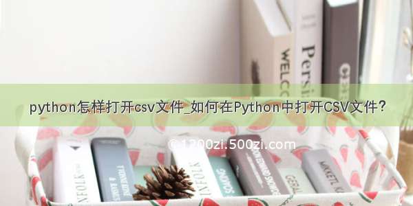 python怎样打开csv文件_如何在Python中打开CSV文件？