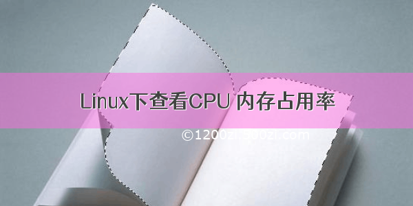 Linux下查看CPU 内存占用率