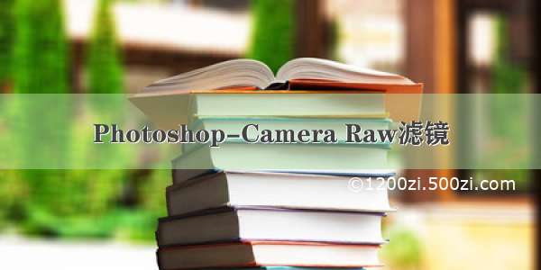 Photoshop-Camera Raw滤镜