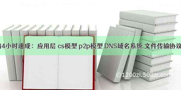 计算机网络4小时速成：应用层 cs模型 p2p模型 DNS域名系统 文件传输协议FTP 电子