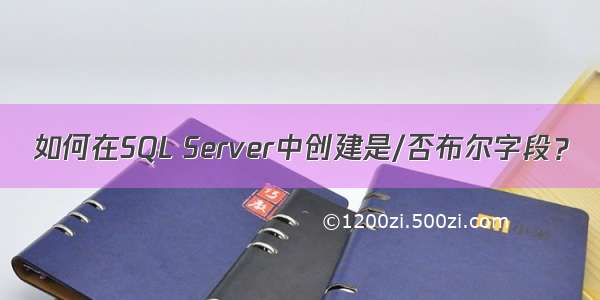 如何在SQL Server中创建是/否布尔字段？