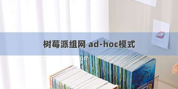 树莓派组网 ad-hoc模式