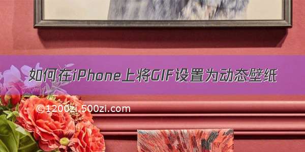 如何在iPhone上将GIF设置为动态壁纸