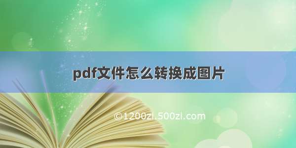 pdf文件怎么转换成图片