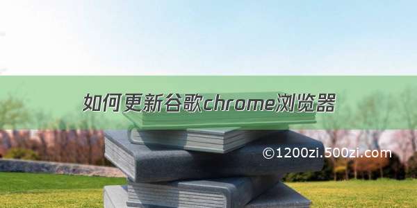 如何更新谷歌chrome浏览器