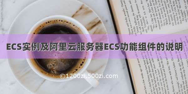 ECS实例及阿里云服务器ECS功能组件的说明