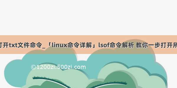 linux打开txt文件命令_「linux命令详解」lsof命令解析 教你一步打开所有文件