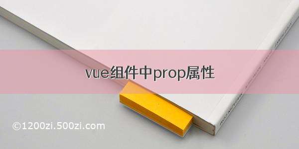 vue组件中prop属性