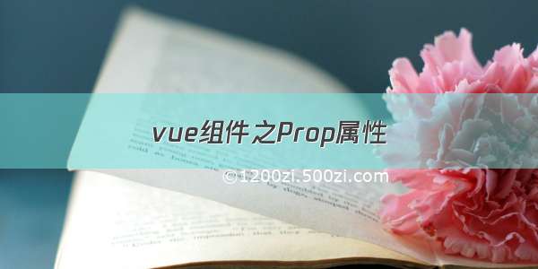 vue组件之Prop属性