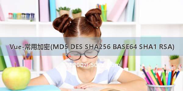 Vue-常用加密(MD5 DES SHA256 BASE64 SHA1 RSA)