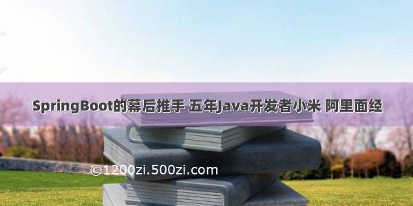 SpringBoot的幕后推手 五年Java开发者小米 阿里面经