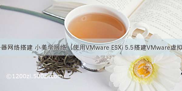 esxi虚拟服务器网络搭建 小姜学网络（使用VMware ESXi 5.5搭建VMware虚拟化平台一）...