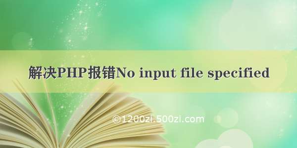 解决PHP报错No input file specified