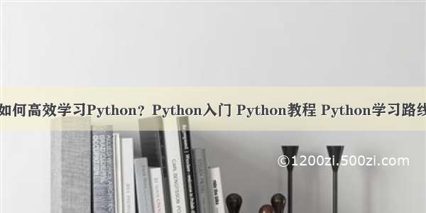 如何高效学习Python？Python入门 Python教程 Python学习路线
