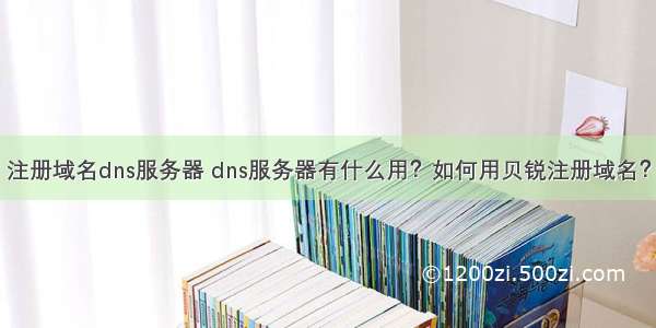 注册域名dns服务器 dns服务器有什么用？如何用贝锐注册域名？