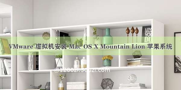 VMware 虚拟机安装 Mac OS X Mountain Lion 苹果系统