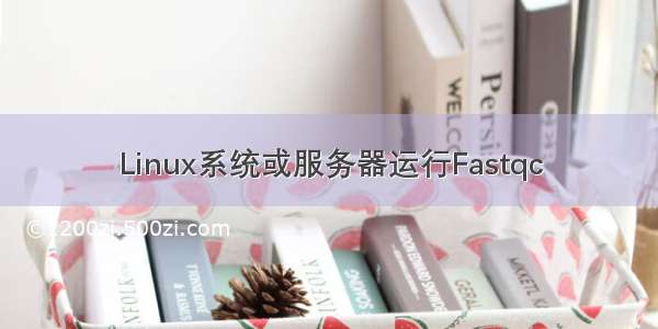 Linux系统或服务器运行Fastqc