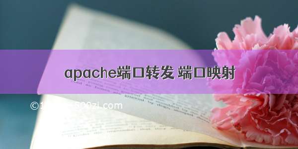 apache端口转发 端口映射