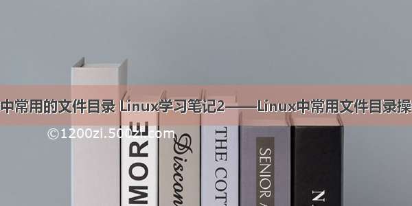Linux中常用的文件目录 Linux学习笔记2——Linux中常用文件目录操作命令