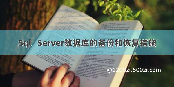 Sql   Server数据库的备份和恢复措施