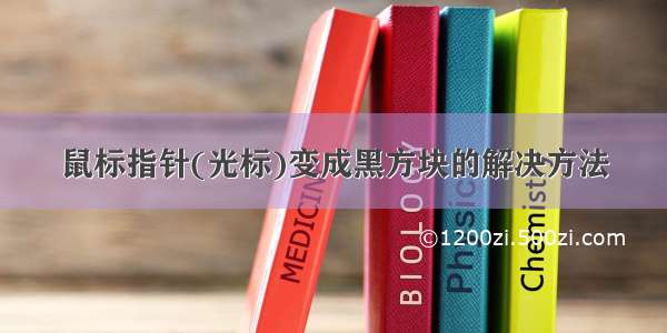 鼠标指针(光标)变成黑方块的解决方法