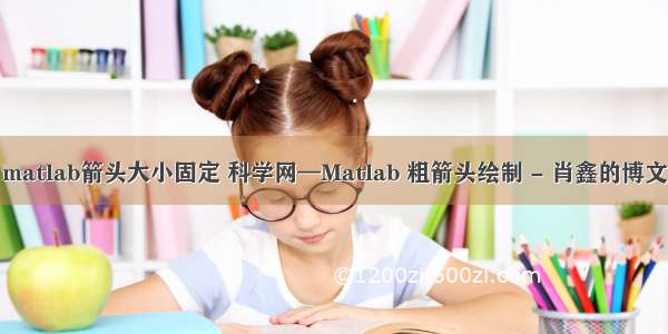 matlab箭头大小固定 科学网—Matlab 粗箭头绘制 - 肖鑫的博文